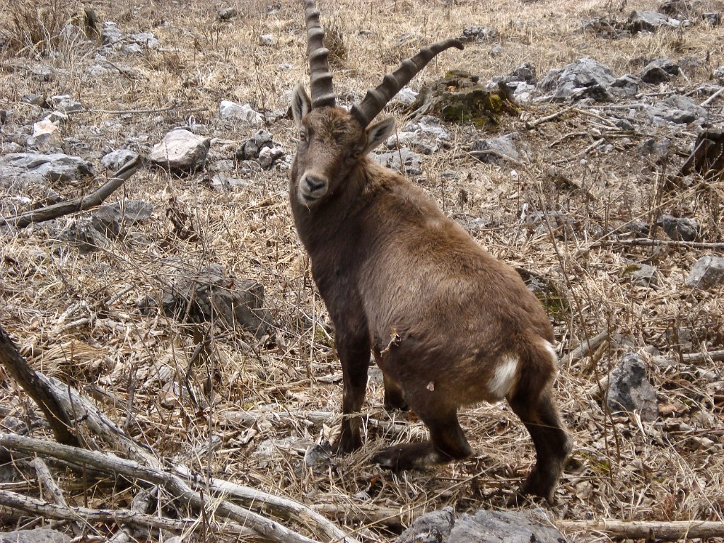 14 und dann sehen sie ganz genau hin.JPG